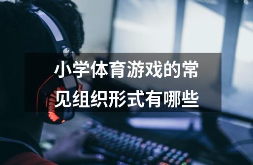 小学体育游戏的常见组织形式有哪些-第1张-游戏信息-龙启网