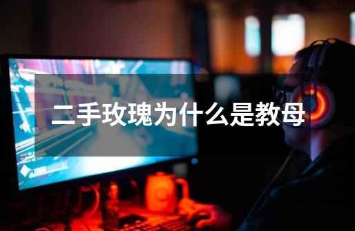 二手玫瑰为什么是教母-第1张-游戏信息-龙启网