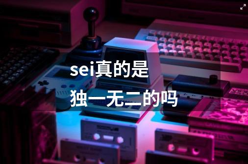 sei真的是独一无二的吗-第1张-游戏信息-龙启网