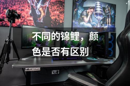 不同的锦鲤,颜色是否有区别-第1张-游戏信息-龙启网