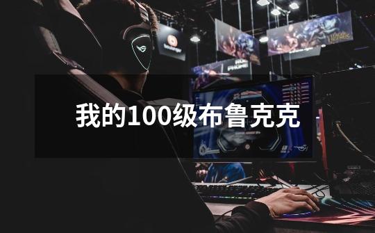 我的100级布鲁克克-第1张-游戏信息-龙启网