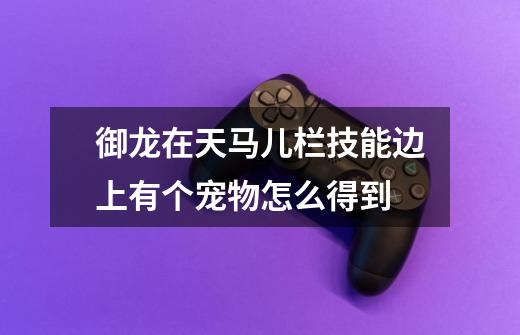 御龙在天马儿栏技能边上有个宠物怎么得到-第1张-游戏信息-龙启网