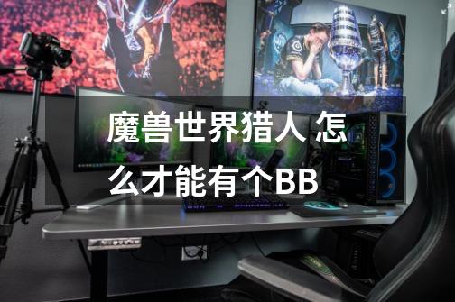 魔兽世界猎人 怎么才能有个BB-第1张-游戏信息-龙启网