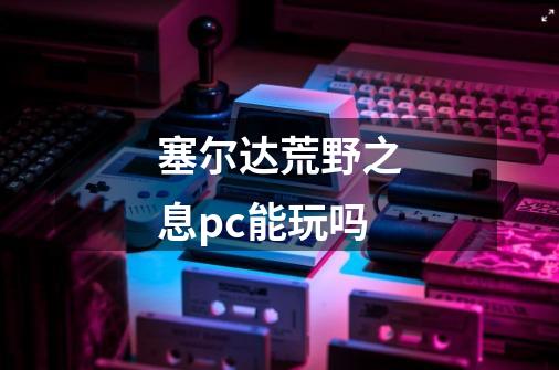 塞尔达荒野之息pc能玩吗-第1张-游戏信息-龙启网
