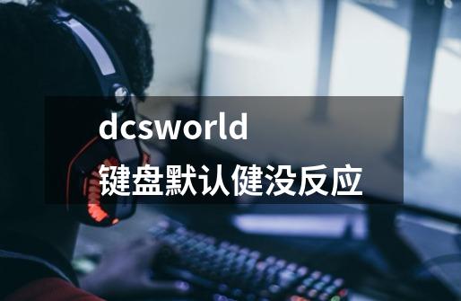 dcsworld键盘默认健没反应-第1张-游戏信息-龙启网