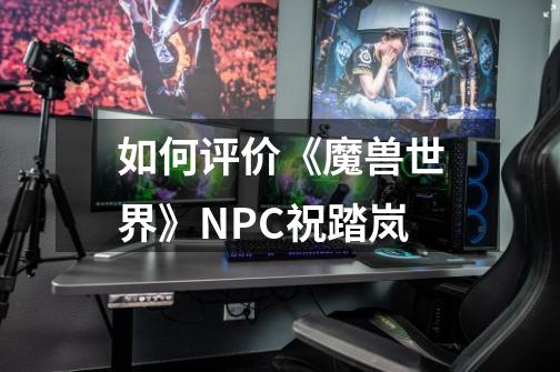 如何评价《魔兽世界》NPC祝踏岚-第1张-游戏信息-龙启网