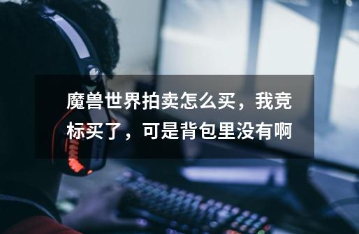 魔兽世界拍卖怎么买，我竞标买了，可是背包里没有啊-第1张-游戏信息-龙启网