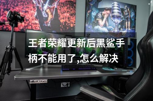 王者荣耀更新后黑鲨手柄不能用了,怎么解决-第1张-游戏信息-龙启网