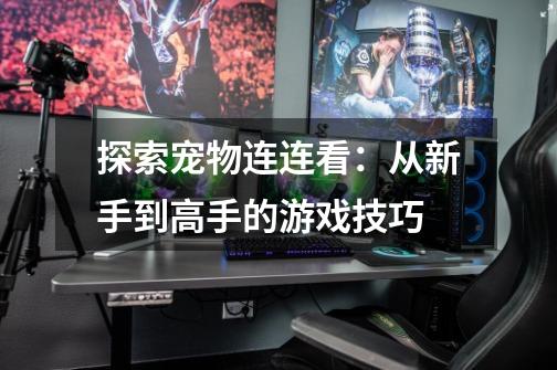 探索宠物连连看:从新手到高手的游戏技巧-第1张-游戏信息-龙启网