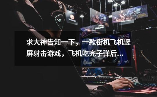 求大神告知一下，一款街机飞机竖屏射击游戏，飞机吃完子弹后打出的特别华丽也特别乱还有紫色雷电跟踪敌人-第1张-游戏信息-龙启网