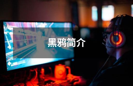 黑鸦简介-第1张-游戏信息-龙启网
