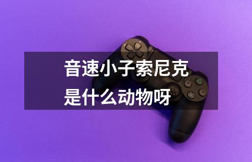 音速小子索尼克是什么动物呀-第1张-游戏信息-龙启网