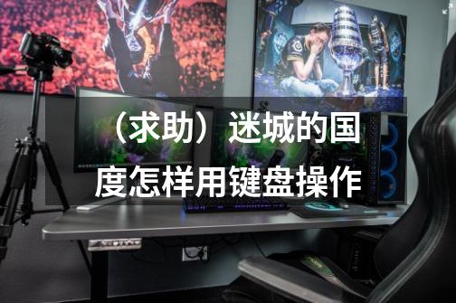 （求助）迷城的国度怎样用键盘操作-第1张-游戏信息-龙启网