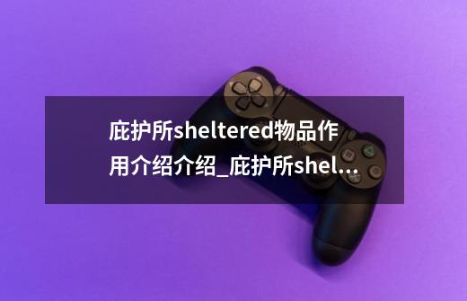 庇护所sheltered物品作用介绍介绍_庇护所sheltered物品作用介绍是什么-第1张-游戏信息-龙启网