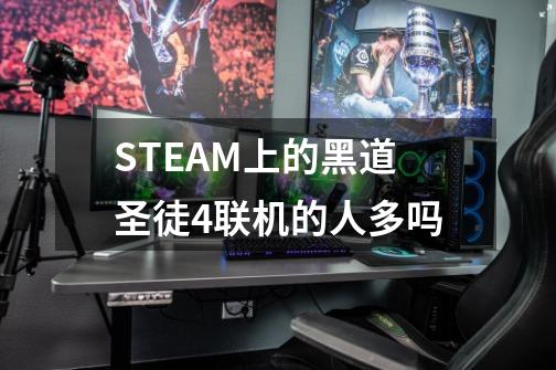 STEAM上的黑道圣徒4联机的人多吗-第1张-游戏信息-龙启网