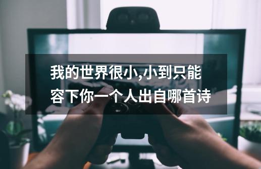 我的世界很小,小到只能容下你一个人出自哪首诗-第1张-游戏信息-龙启网