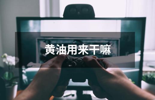 黄油用来干嘛-第1张-游戏信息-龙启网