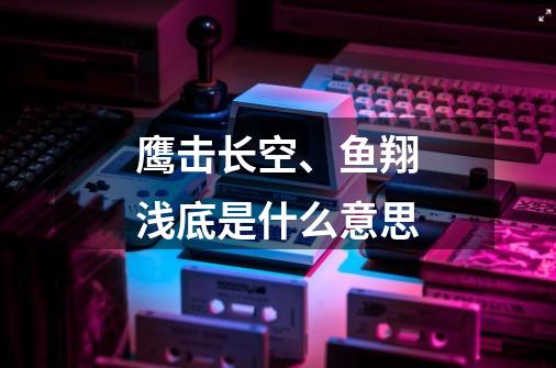 鹰击长空、鱼翔浅底是什么意思-第1张-游戏信息-龙启网