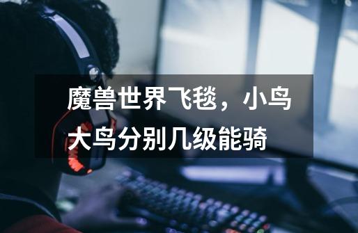 魔兽世界飞毯,小鸟大鸟分别几级能骑-第1张-游戏信息-龙启网