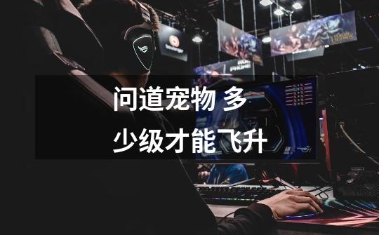 问道宠物 多少级才能飞升-第1张-游戏信息-龙启网