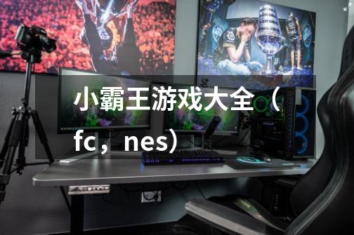 小霸王游戏大全（fc，nes）-第1张-游戏信息-龙启网