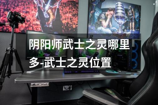 阴阳师武士之灵哪里多-武士之灵位置-第1张-游戏信息-龙启网