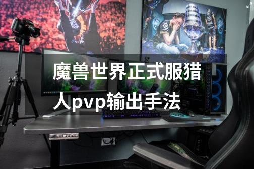 魔兽世界正式服猎人pvp输出手法-第1张-游戏信息-龙启网