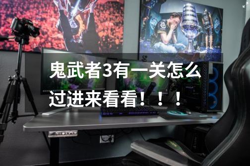 鬼武者3有一关怎么过进来看看！！！-第1张-游戏信息-龙启网