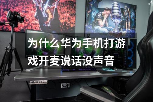为什么华为手机打游戏开麦说话没声音-第1张-游戏信息-龙启网