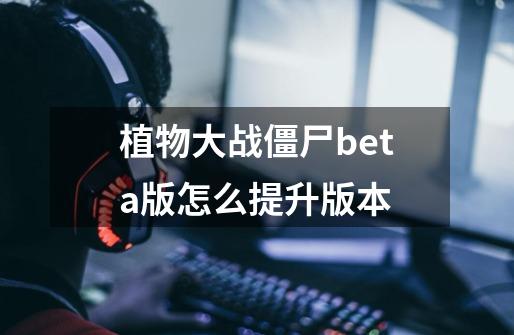 植物大战僵尸beta版怎么提升版本-第1张-游戏信息-龙启网