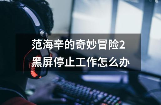 范海辛的奇妙冒险2黑屏停止工作怎么办-第1张-游戏信息-龙启网
