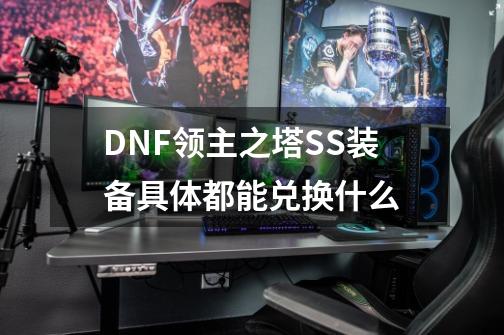 DNF领主之塔SS装备具体都能兑换什么-第1张-游戏信息-龙启网