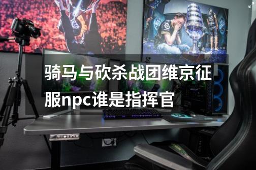 骑马与砍杀战团维京征服npc谁是指挥官-第1张-游戏信息-龙启网