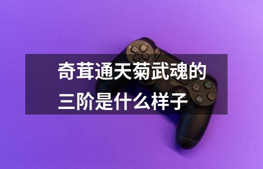 奇茸通天菊武魂的三阶是什么样子-第1张-游戏信息-龙启网