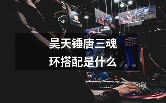 昊天锤唐三魂环搭配是什么-第1张-游戏信息-龙启网