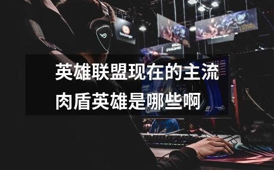 英雄联盟现在的主流肉盾英雄是哪些啊-第1张-游戏信息-龙启网