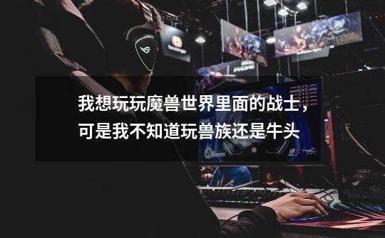 我想玩玩魔兽世界里面的战士,可是我不知道玩兽族还是牛头-第1张-游戏信息-龙启网