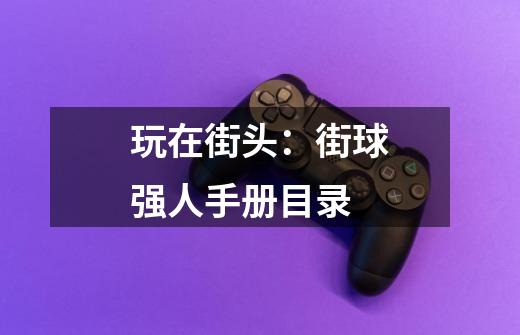 玩在街头:街球强人手册目录-第1张-游戏信息-龙启网