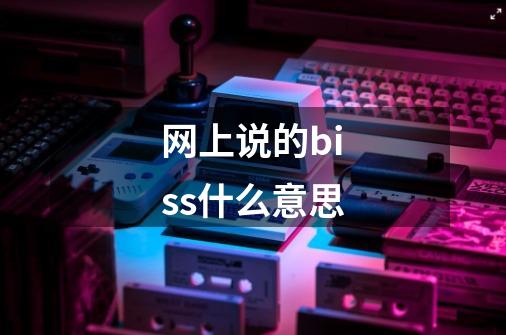 网上说的biss什么意思-第1张-游戏信息-龙启网