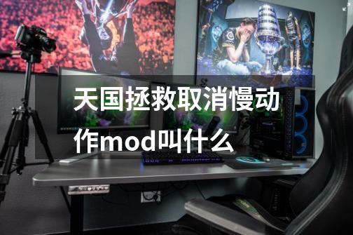 天国拯救取消慢动作mod叫什么-第1张-游戏信息-龙启网