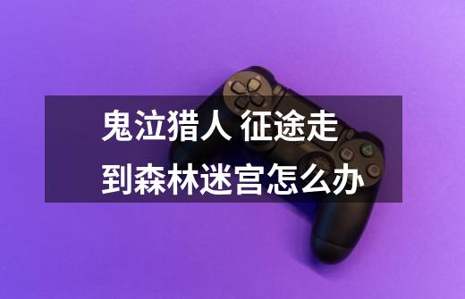 鬼泣猎人 征途走到森林迷宫怎么办-第1张-游戏信息-龙启网