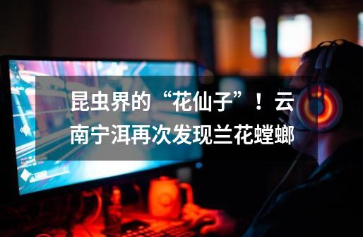 昆虫界的“花仙子”!云南宁洱再次发现兰花螳螂-第1张-游戏信息-龙启网
