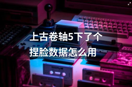 上古卷轴5下了个捏脸数据怎么用-第1张-游戏信息-龙启网
