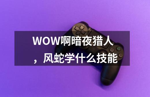 WOW啊暗夜猎人，风蛇学什么技能-第1张-游戏信息-龙启网