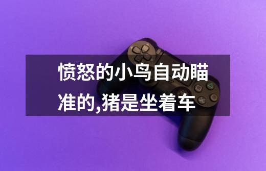愤怒的小鸟自动瞄准的,猪是坐着车-第1张-游戏信息-龙启网
