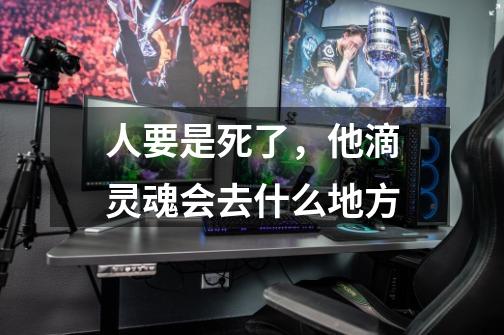 人要是死了,他滴灵魂会去什么地方-第1张-游戏信息-龙启网