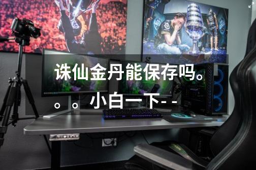 诛仙金丹能保存吗。。。小白一下- --第1张-游戏信息-龙启网