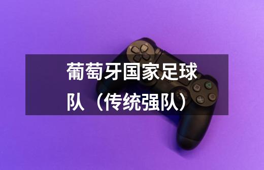 葡萄牙国家足球队(传统强队)-第1张-游戏信息-龙启网