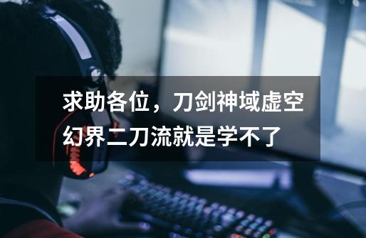 求助各位,刀剑神域虚空幻界二刀流就是学不了-第1张-游戏信息-龙启网
