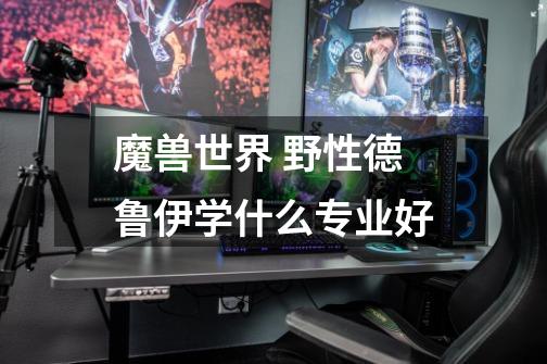 魔兽世界 野性德鲁伊学什么专业好-第1张-游戏信息-龙启网